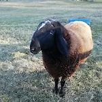 Oda ve Kahvaltı Lo Scudiero 3*