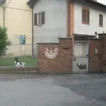 Lo Scudiero