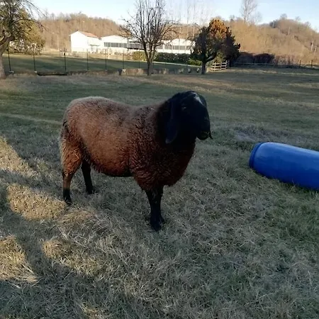 Bed & Breakfast Lo Scudiero